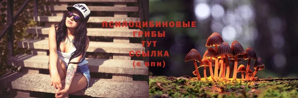 бошки Бугульма