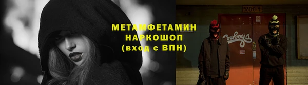 прущие грибы Белоозёрский