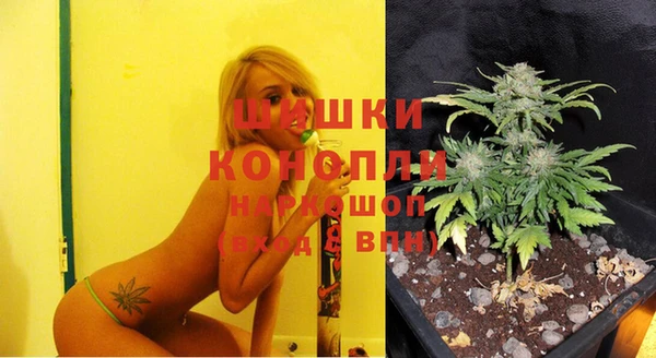не бодяженный Богданович
