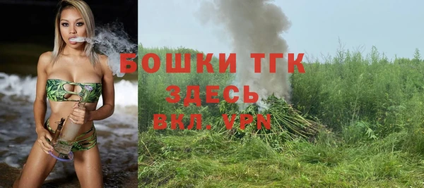 ECSTASY Богородск