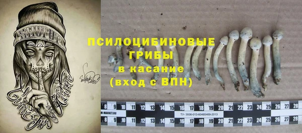 бошки Бугульма