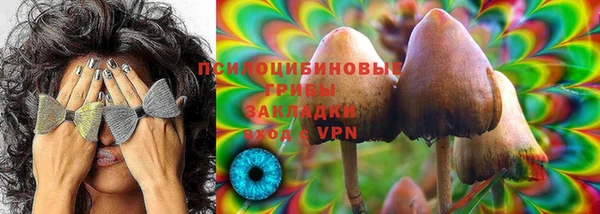 jwh Богородицк