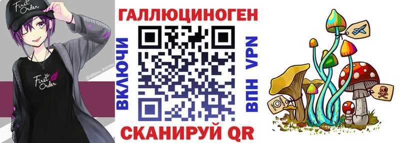 Галлюциногенные грибы Magic Shrooms  цена   Дигора 